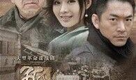 电视剧孤雁在线观看,逆境中的坚韧与成长