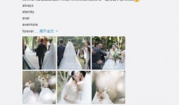 杨美丽徒弟的爆料视频大全,揭秘幕后真相与精彩瞬间