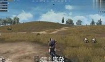 刺激战场亚服爆料视频,新内容抢先看，精彩瞬间不容错过
