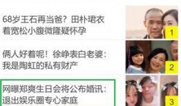 娱乐圈爆料有什么是假的,揭秘真假难辨的八卦传闻
